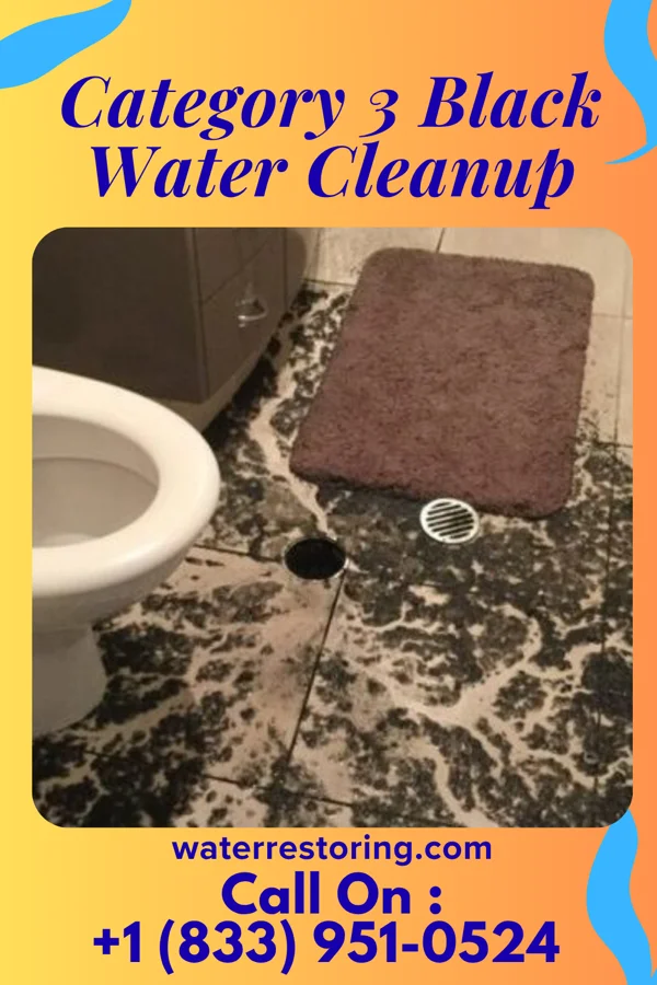 Category 3 Black Water Cleanup in Mercer, PA