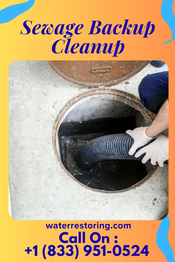 Sewage Backup Cleanup in Mercer, PA